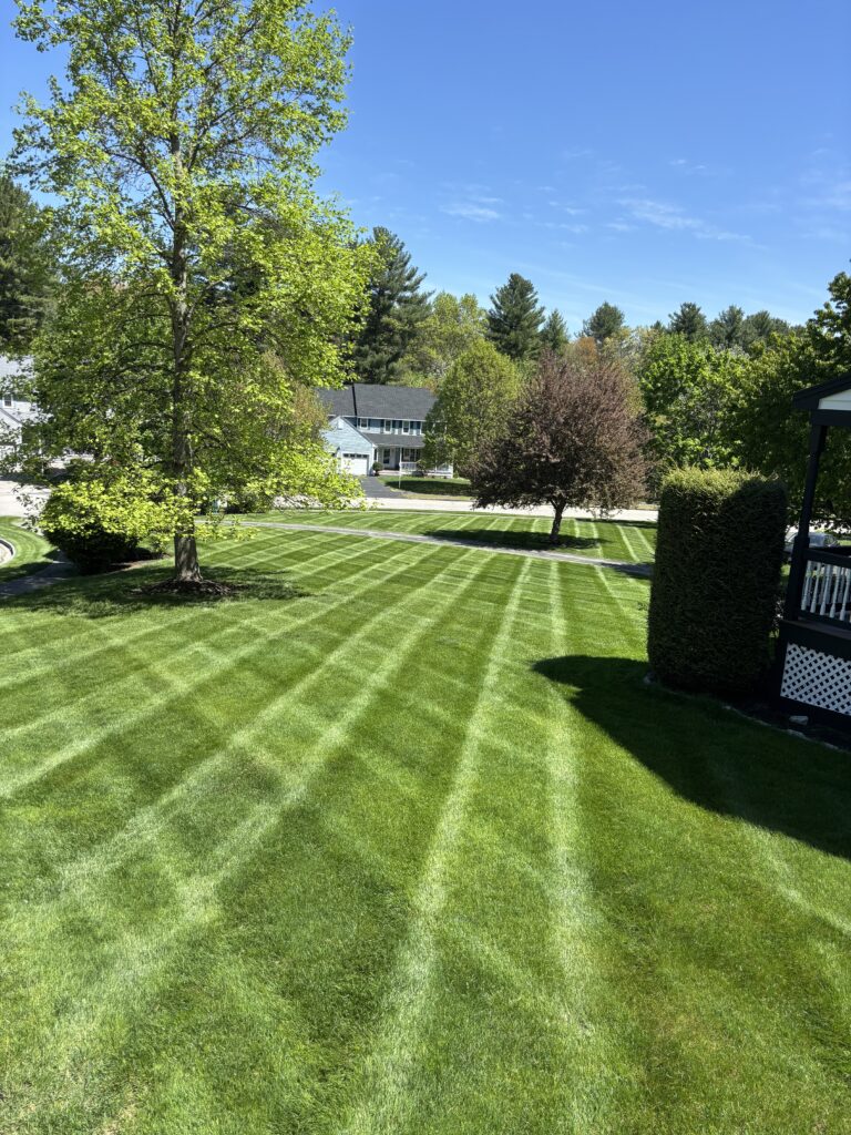 Professional landscaping services