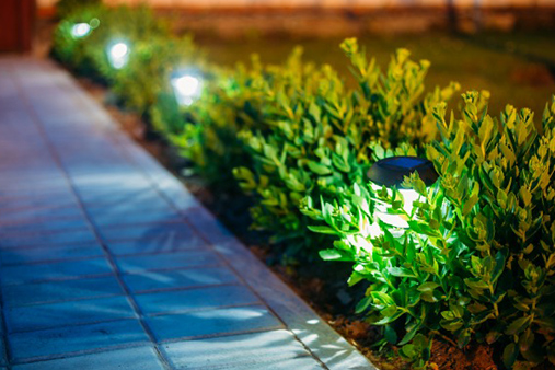 Expert landscaping lighting on front yard