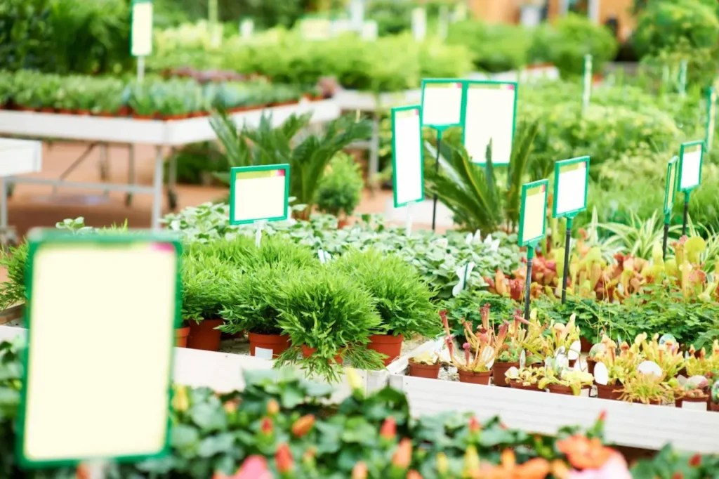 Choose the Right Plants for the New England Climate