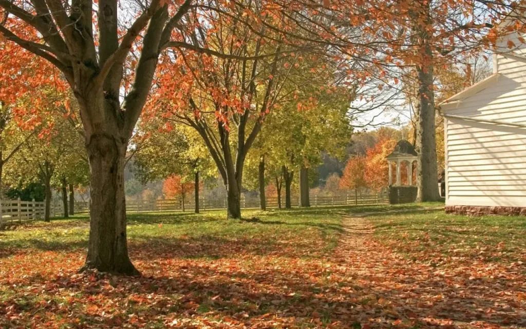 Why Fall Landscaping in Massachusetts Makes Perfect Sense