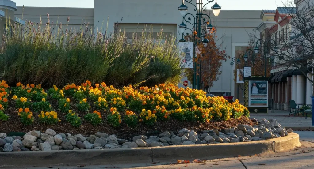 Fall Landscaping Benefits for Commercial Properties in Massachusetts
